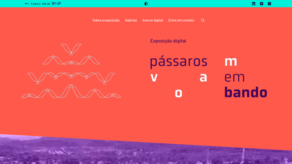 Pássaros Voam em Bando