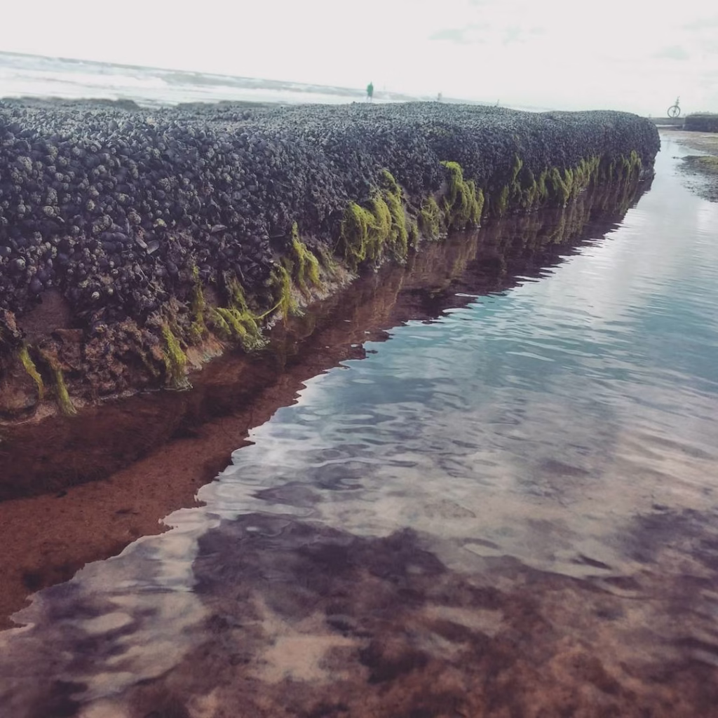 Reflexo do céu em uma pedra ao lado do mar.